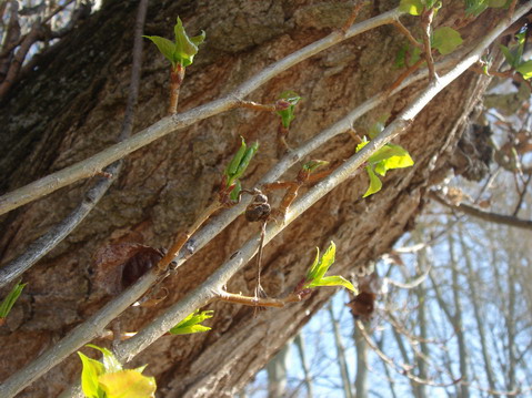 a0247585_6491261.jpg