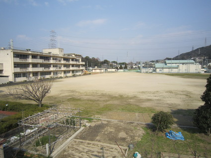 f0053885_2054376.jpg