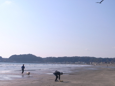a0195486_2217924.jpg