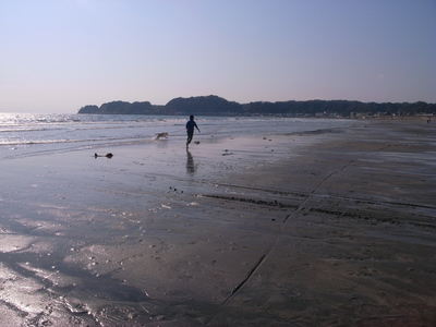 a0195486_2251493.jpg