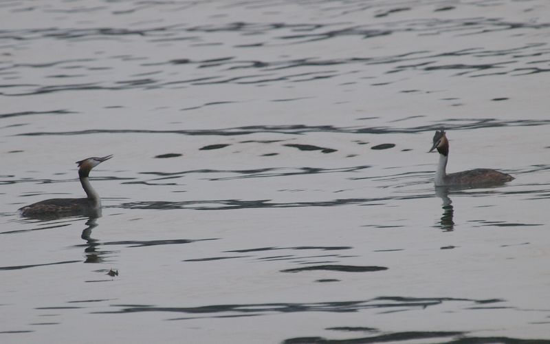b0108186_2245848.jpg