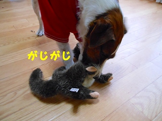 e0121589_1729538.jpg