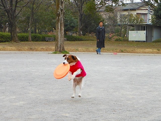 e0121589_1851040.jpg