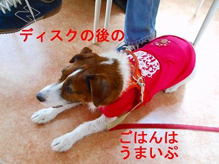e0121589_186151.jpg