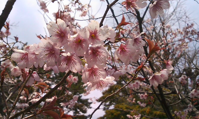 b0201198_237395.jpg