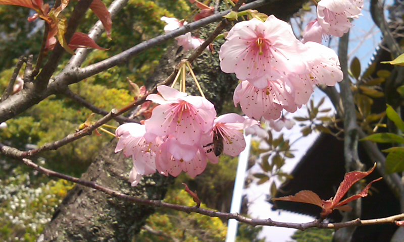 b0201198_2382070.jpg