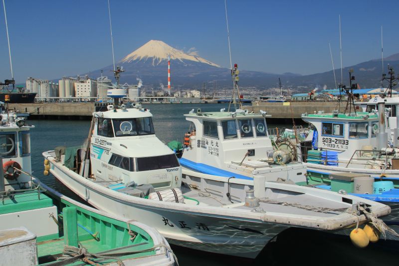 a0188405_943751.jpg