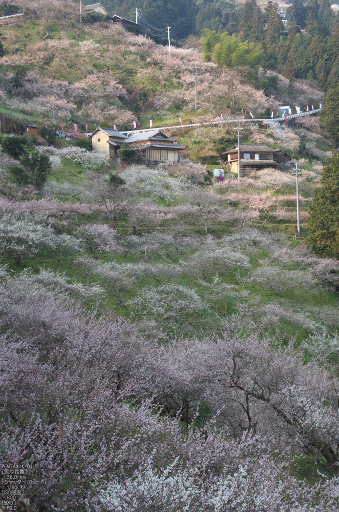 f0221510_23221858.jpg