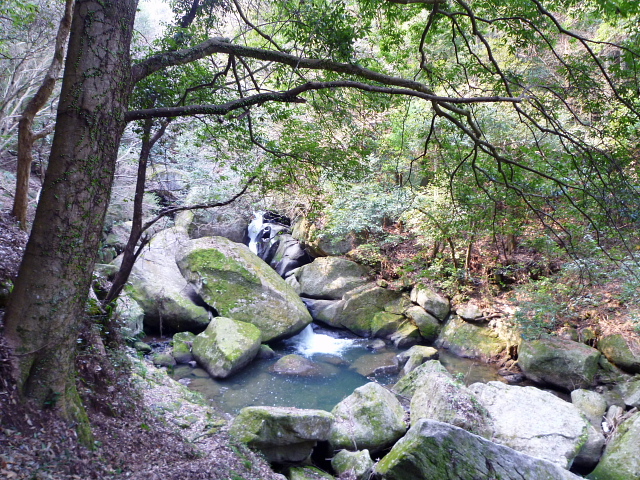 d0170615_1013598.jpg