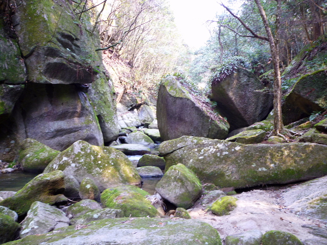 d0170615_10145323.jpg