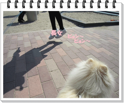 b0167519_10275013.gif