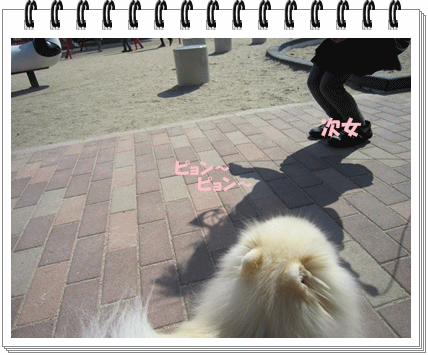 b0167519_1028384.gif