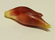 b0008825_2139472.jpg