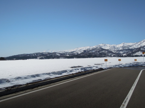 e0147226_2356354.jpg