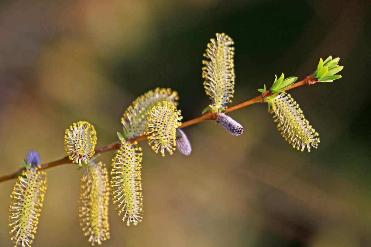 c0104227_8513866.jpg