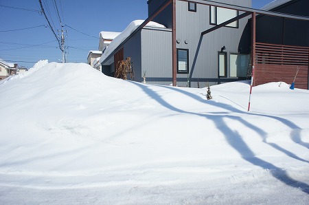f0205733_1636093.jpg
