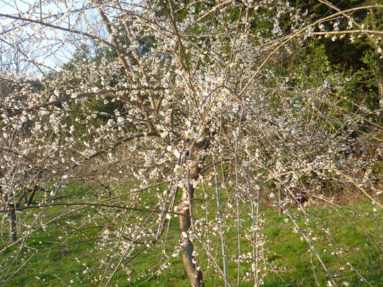 b0246036_2051246.jpg
