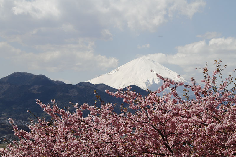 b0042837_4334165.jpg