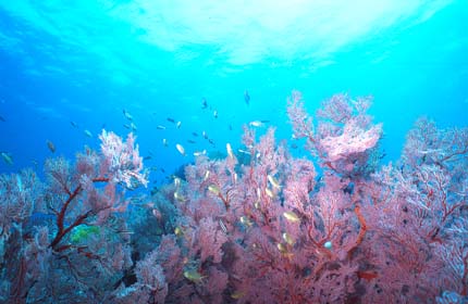 b0042837_4412450.jpg