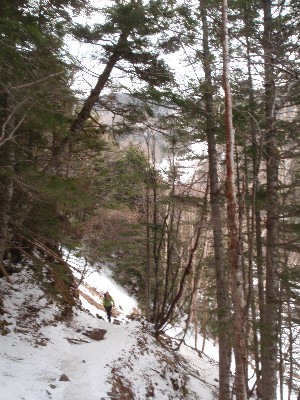 d0107938_1262771.jpg