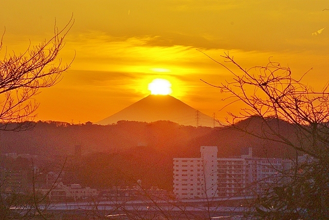 d0218238_22401729.jpg