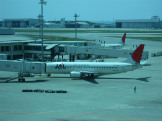 d0031853_529136.jpg