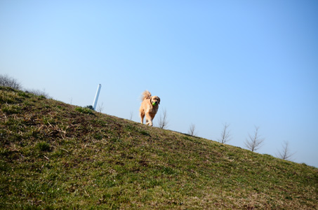 f0044853_0185680.jpg