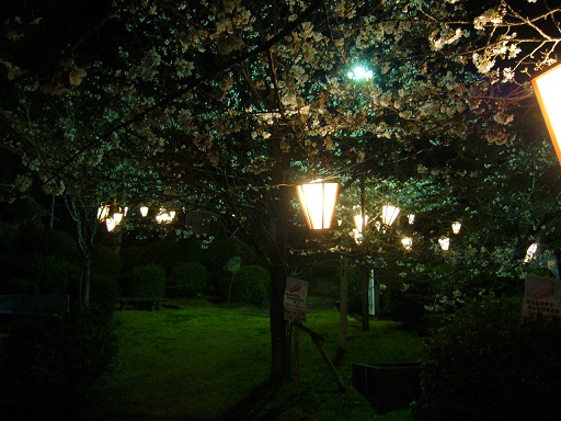 f0067354_210274.jpg