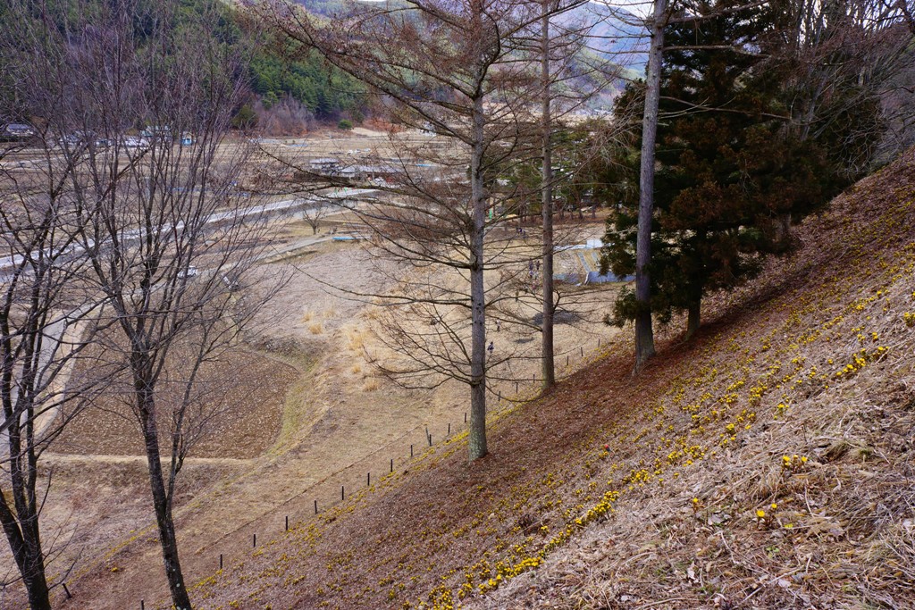 e0223456_9314678.jpg