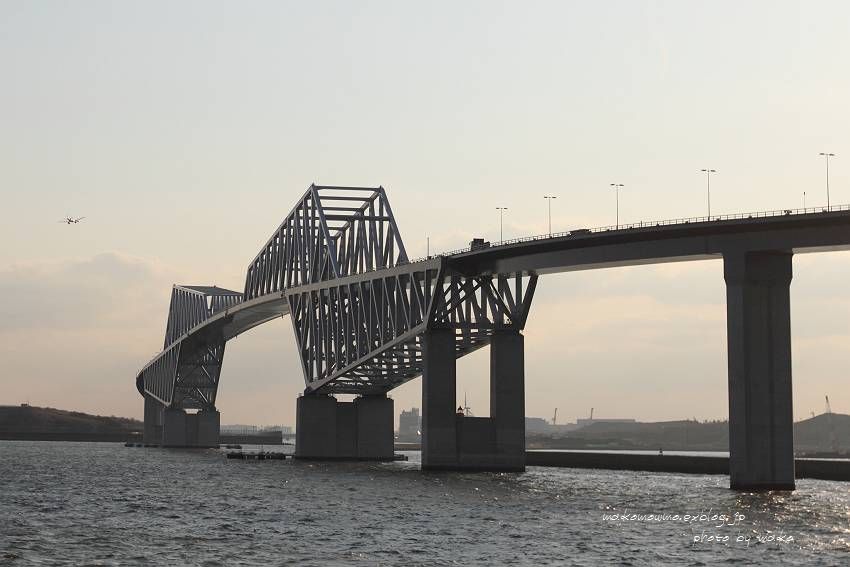 f0103860_1463635.jpg