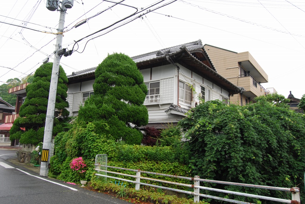 b0010162_7225337.jpg