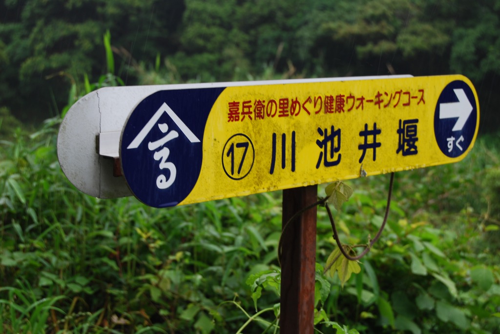 b0010162_7711100.jpg