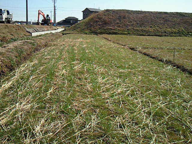 b0139862_144224.jpg
