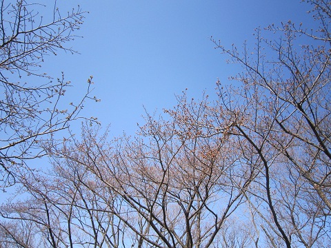 d0120665_2316136.jpg