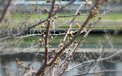d0038670_20292194.jpg