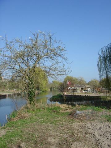 a0247585_5265994.jpg