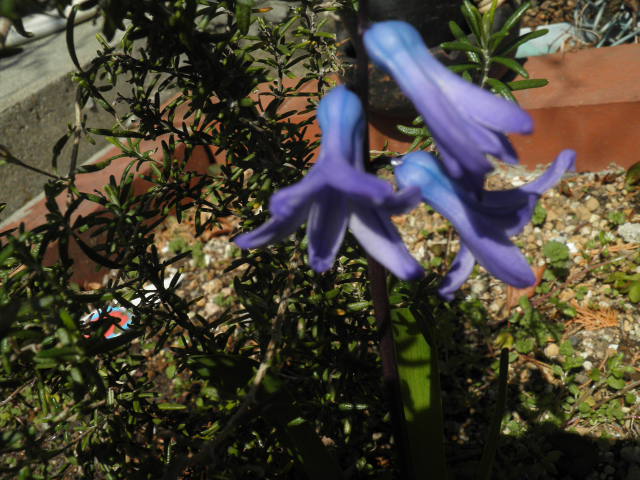 e0202385_21135068.jpg