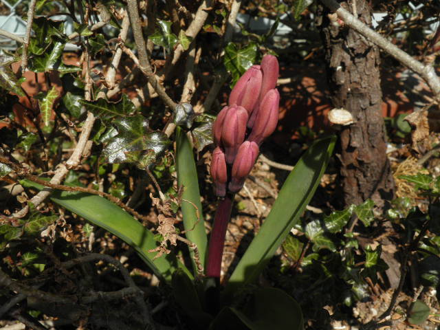 e0202385_21142256.jpg