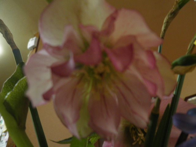e0202385_21164782.jpg