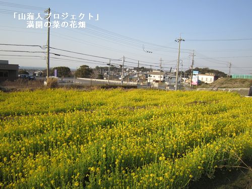 f0053885_19573033.jpg