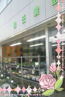 b0245886_21323346.jpg