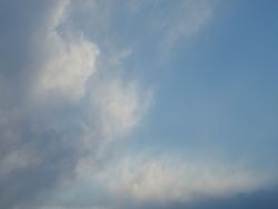 b0162388_20562248.jpg