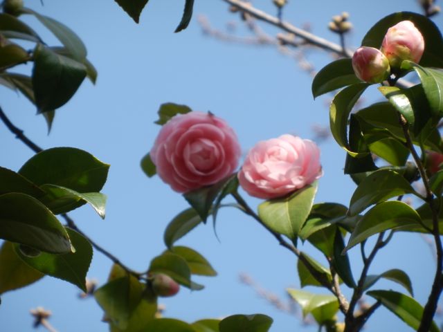 f0130894_21392299.jpg