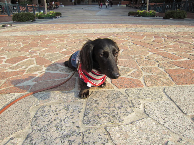 d0098295_021404.jpg