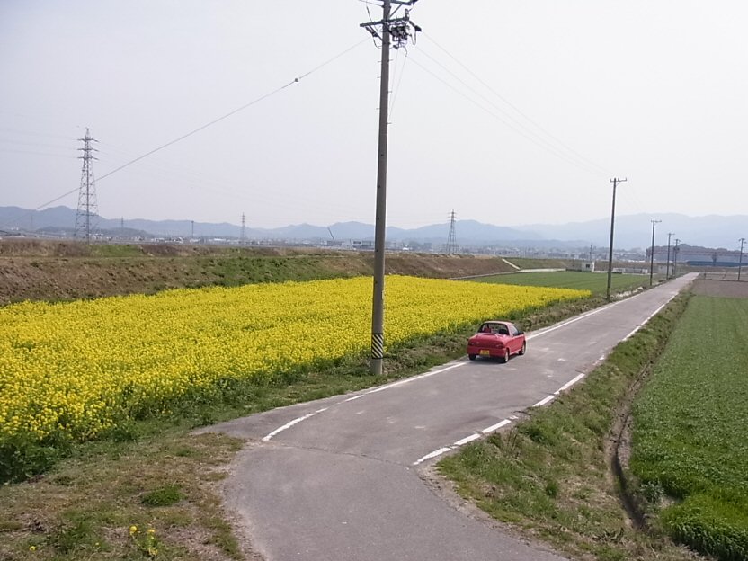 a0194797_1294817.jpg
