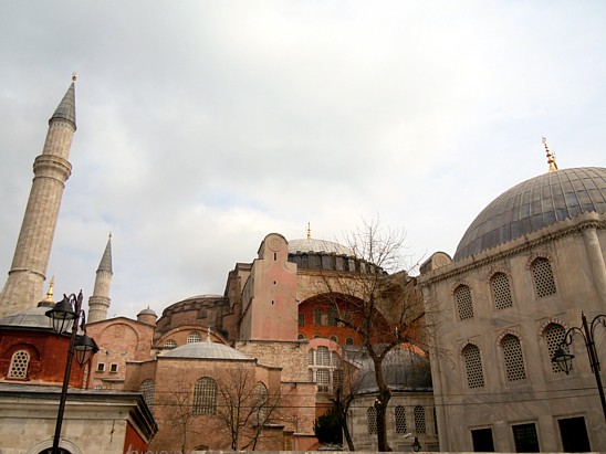 f0100505_355564.jpg