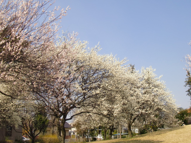 f0162908_22301641.jpg