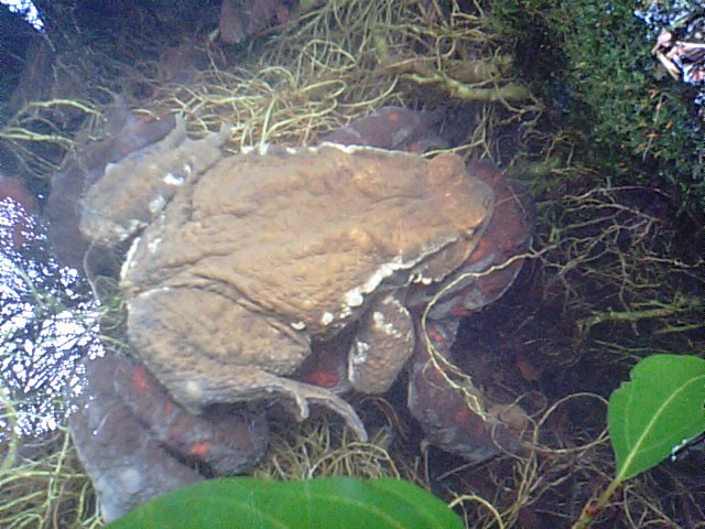 f0231709_0113029.jpg