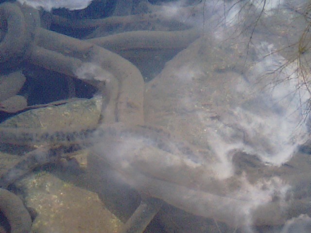 f0231709_0214256.jpg