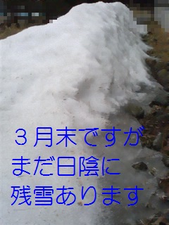 b0200310_903141.jpg